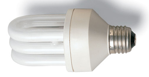 The Green Renovation on an Old House